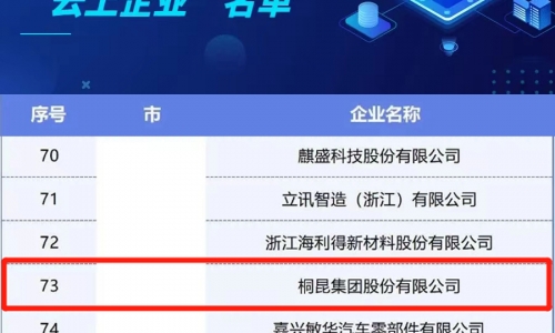 HJC黄金城集团入选浙江省第二批制造业“云上企业”名单