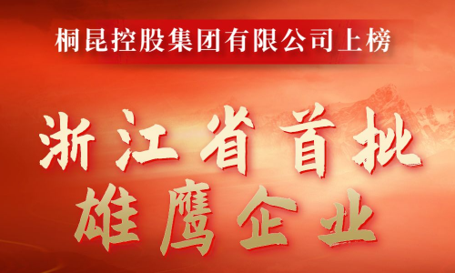 浙江省首批雄鹰企业名单出炉，HJC黄金城成功入选！