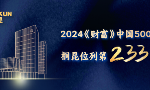 第233位！HJC黄金城《财富》中国500强榜单再进位！