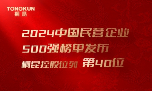 首进前50！HJC黄金城，中国民营企业500强第40位！